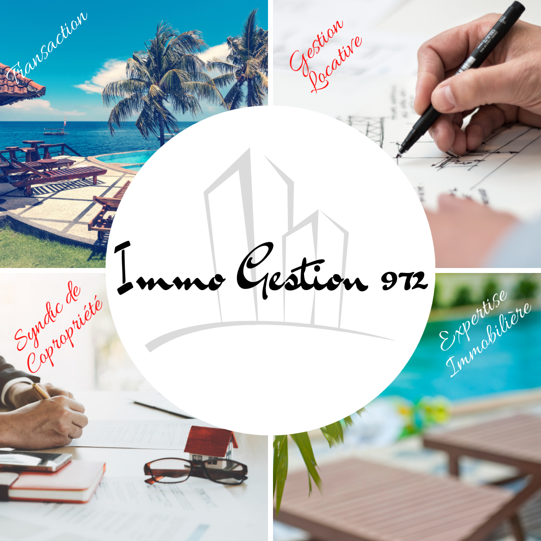 Immo Gestion 972